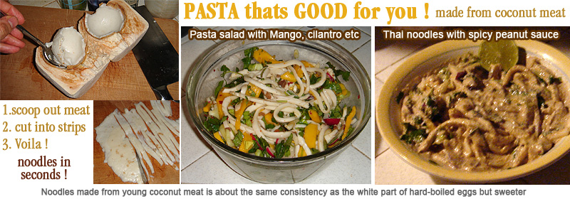 pasta noodles from raw young coconut meat. Spaghetti in seconds without cooking