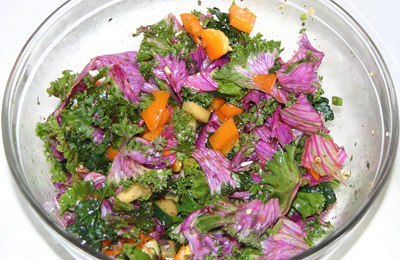raw deco red curly cabbage salad with Nama Shoyu