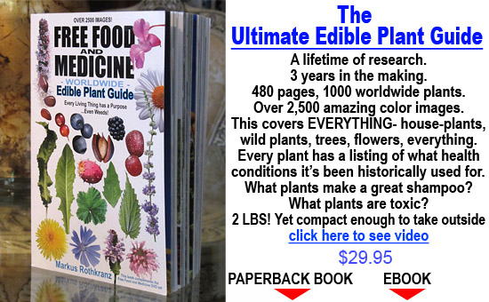 heal yourself 101book ebook never get sick again