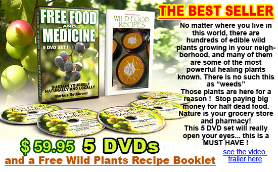 free food and medicine wild edibles foraging gardening dvd recipes book