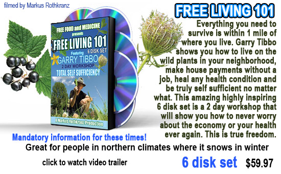 ultimate complete health reference set markus marcus heal yourself