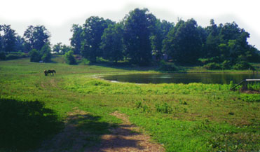 kentucky pasture field land property for sale