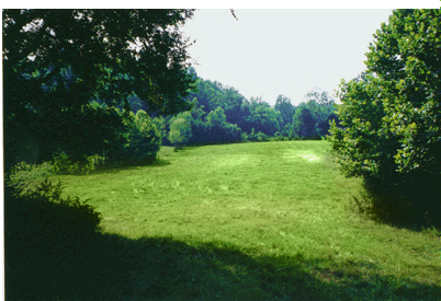 kentucky real estate horse farm land for sale
