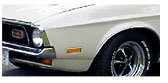 1969 1970 Mustang