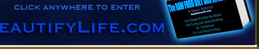2012 The New World economy Army of Light