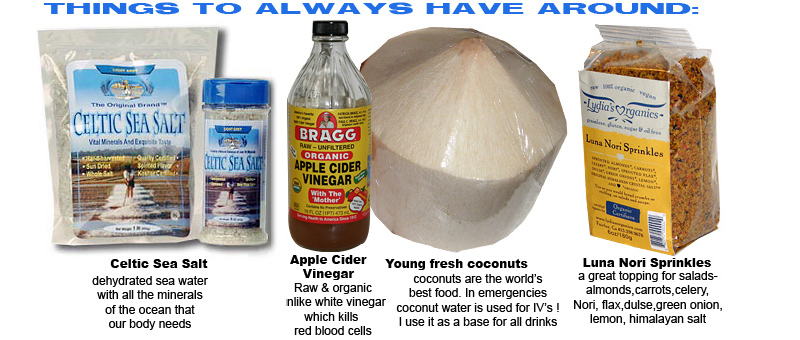 Things to have around, celtic sea salt, nama shoyu, apple cider vinegar,fresh young whote coconuts and Luna Nori sprinkles