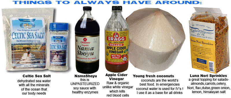 Things to have around, celtic sea salt, nama shoyu, apple cider vinegar,fresh young whote coconuts and Luna Nori sprinkles