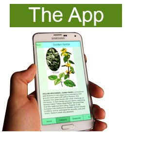 edibleplantguide07